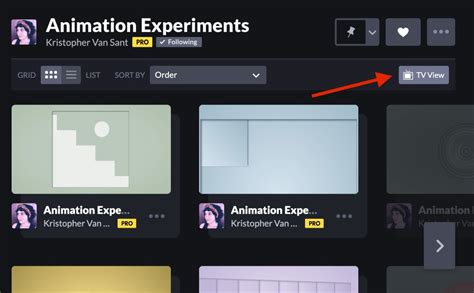 xvjdjo|CodePen TV .